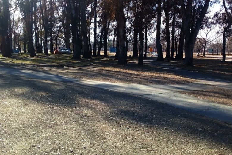 Fuerte operativo de limpieza en el Lago