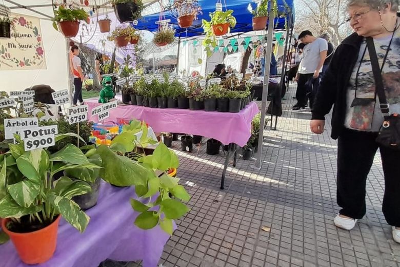 Lunes de feria en la ciudad